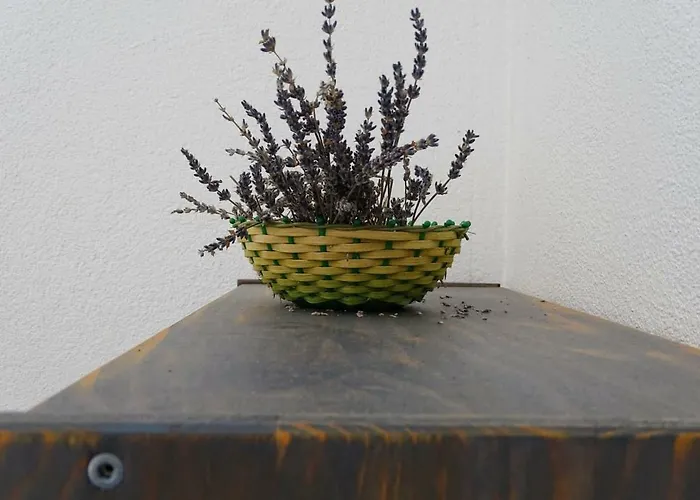 Naita Appartement